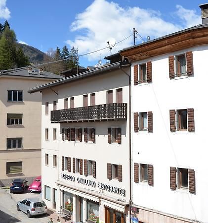 Albergo Cavallino Pieve di Cadore Eksteriør bilde